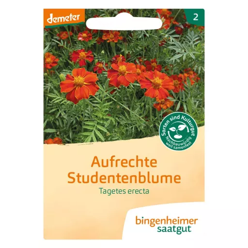 Biodynamiske Studentertagetes - Bingenheimer Saatgut