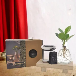 Hydrokultur plantelykkekasse