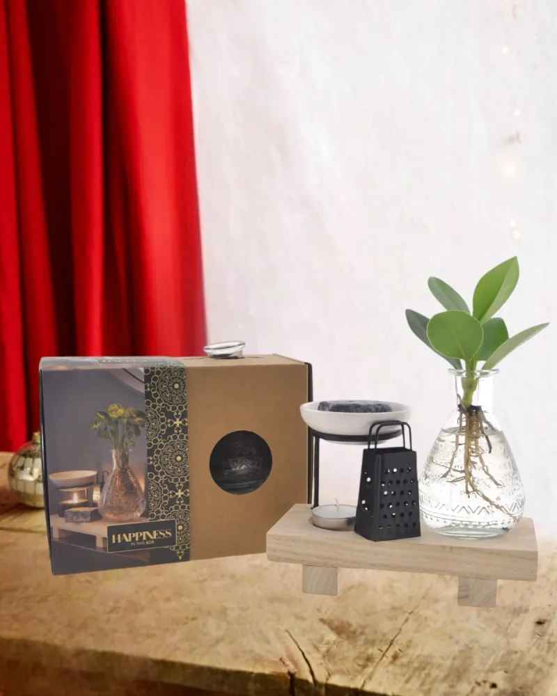 Hydrokultur plantelykkekasse