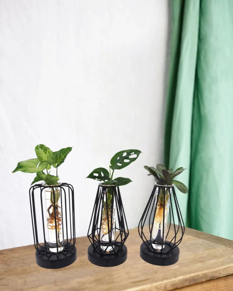 Trio af hydrokulturplanter - lanterne og sort base med LED