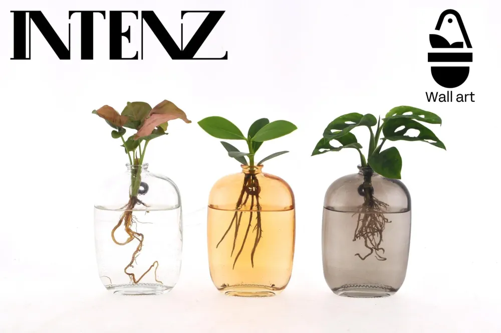 Trio af planter i hydrokultur
