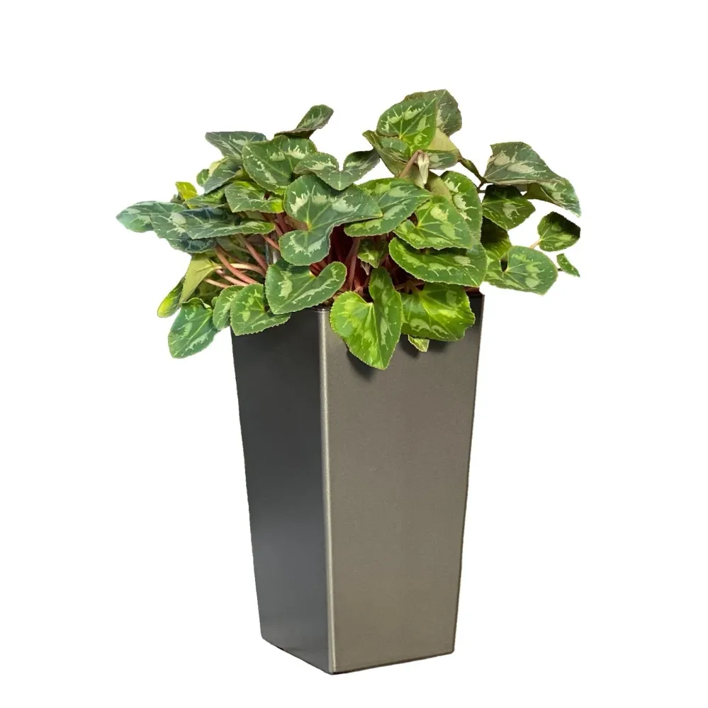 Blomsterkrukke - stilren og klassisk - med selvvanding - grå