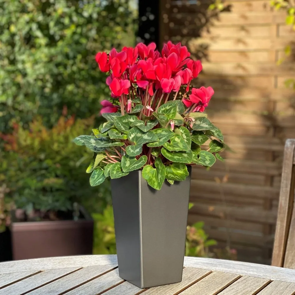 Blomsterkrukke - stilren og klassisk - med selvvanding - grå