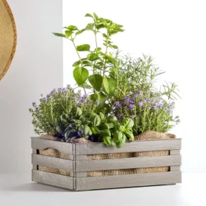 Tina 2 – dekorativ kasse i trælook - taupe/gråbrun - 31 cm
