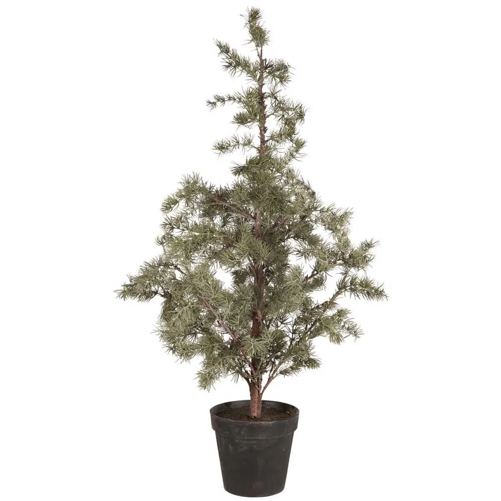 Ib Laursen Cedertræ i potte 120cm