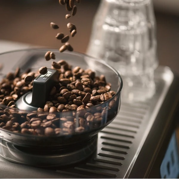 SAGE BARISTA PRO