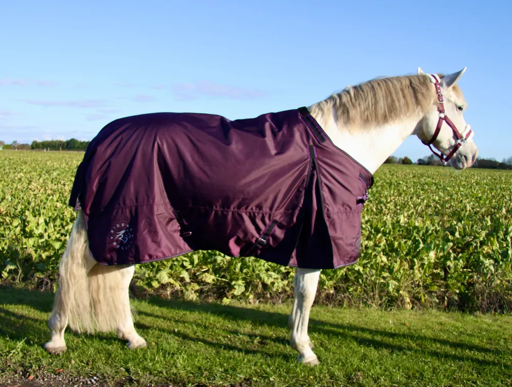 RD EquiComfort V Turnout dækken inklusiv liner 100g + 200g 105
