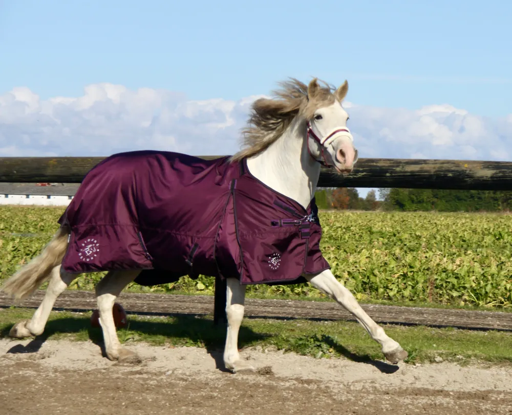 RD EquiComfort V Turnout dækken inklusiv liner 100g + 200g 105
