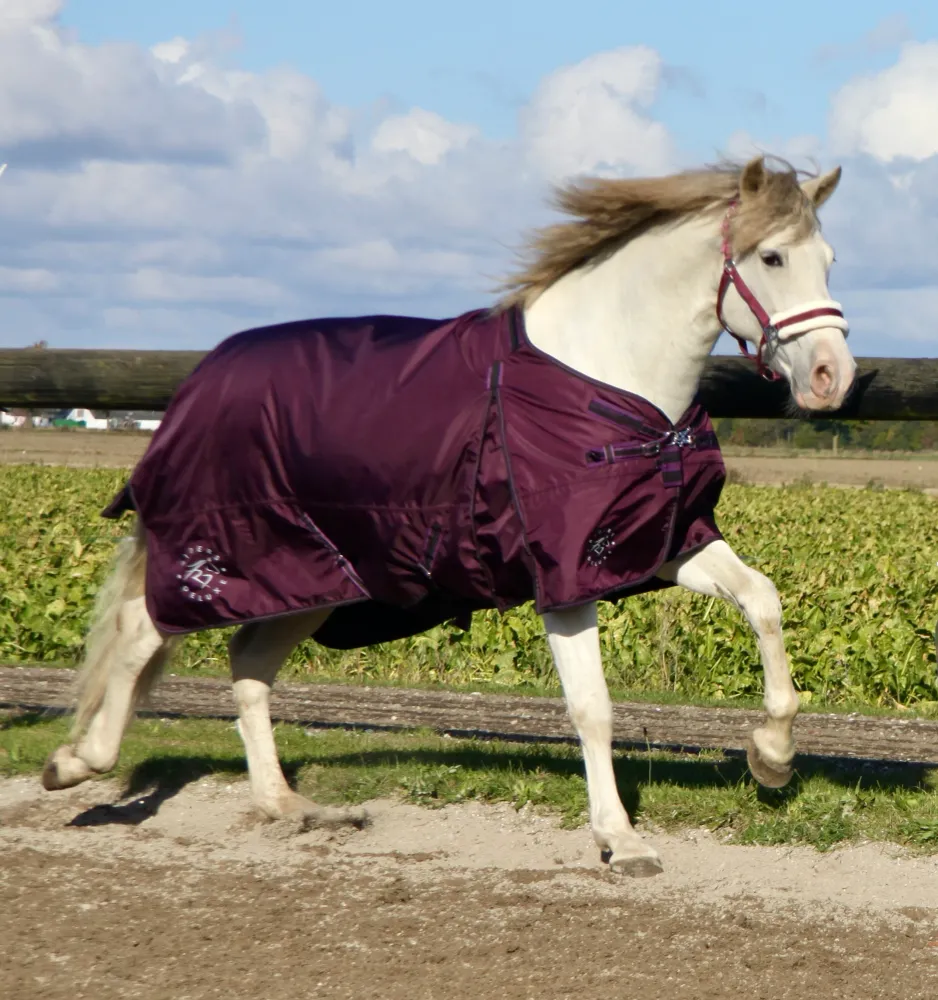 RD EquiComfort V Turnout dækken inklusiv liner 100g + 200g 105