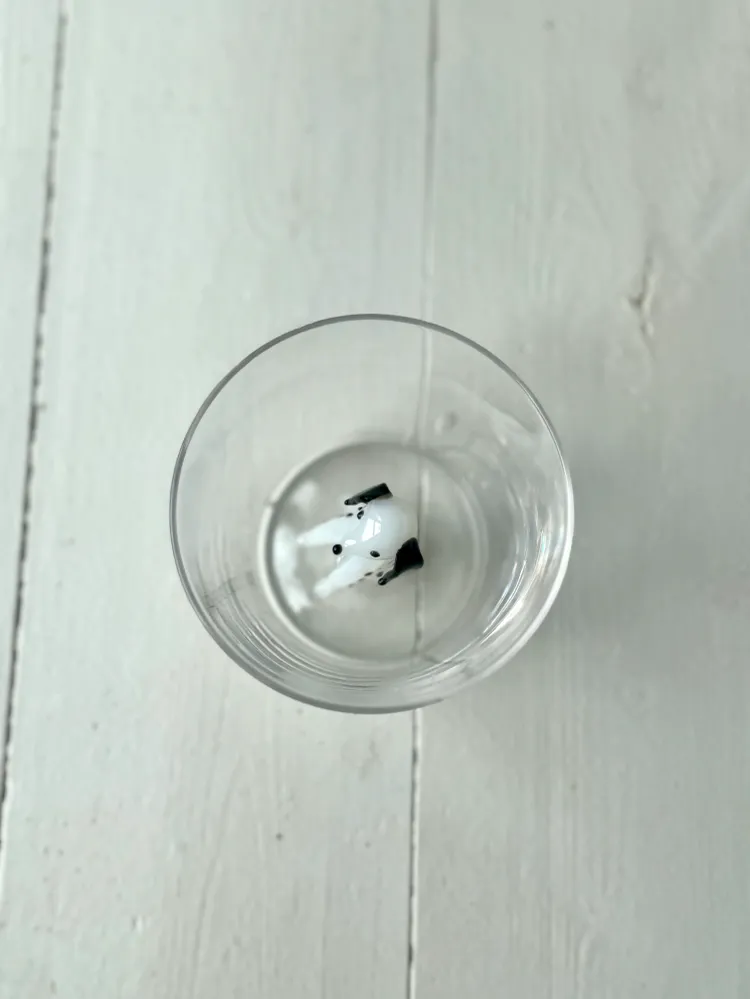ANIMAL FARM tumbler Dalmata