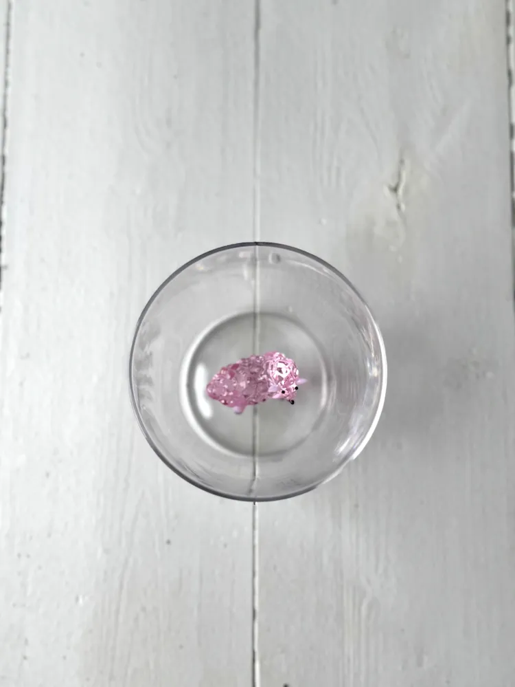 ANIMAL FARM tumbler pink sheep