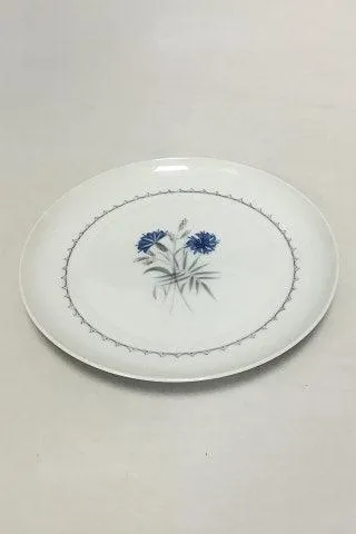 Bing & Grøndahl Demeter / Hvid Kornblomst Frokosttallerken No 26