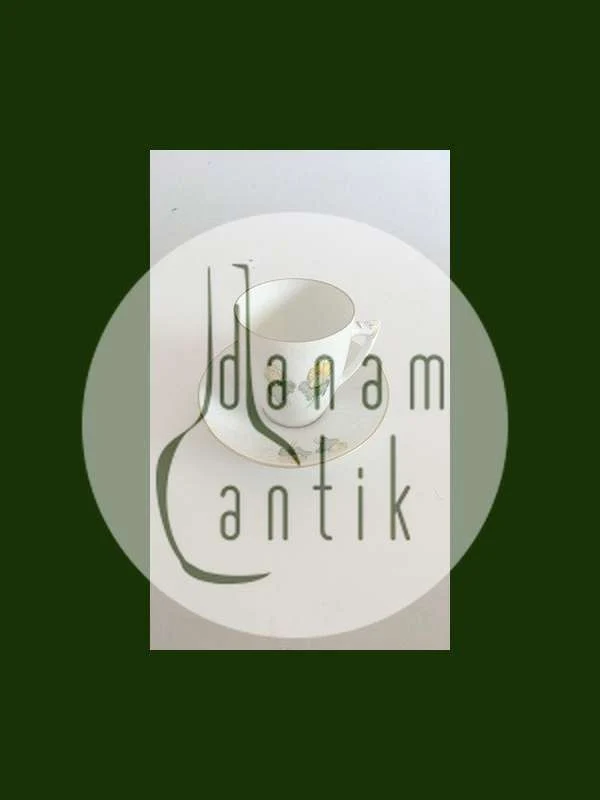 Bing og Grøndahl Erantis Kaffekop og Underkop No. 305