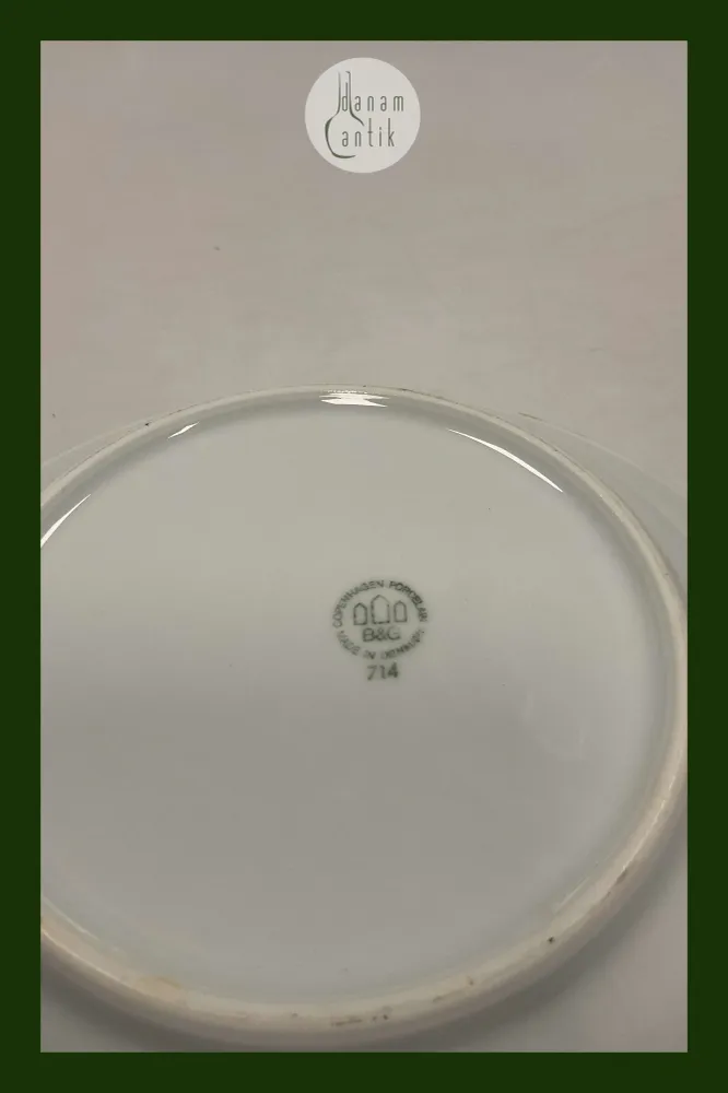 Bing & Grøndahl Blå Tone Hotel Stor Dyb Tallerken No 714/1008 MED LOGO