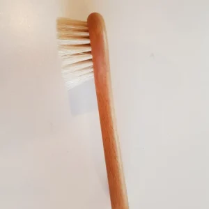 Champignonbørste af bøgetræ - 13 cm