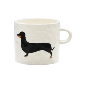 Dachshund kop - Multicolour