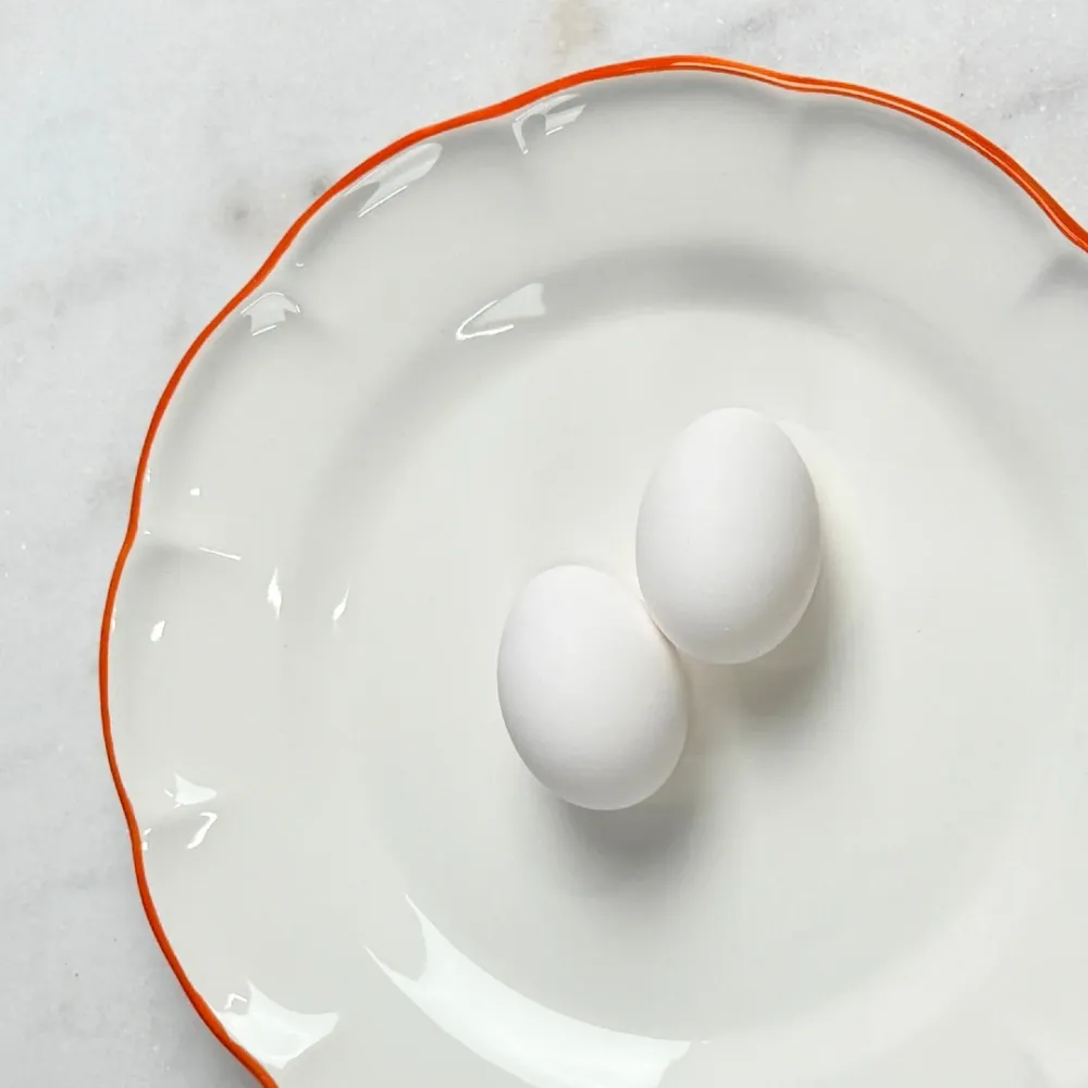 Dinner Plate Orange Line
