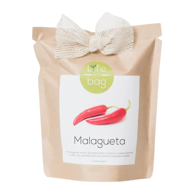GROW BAG CHERRY TOMAT