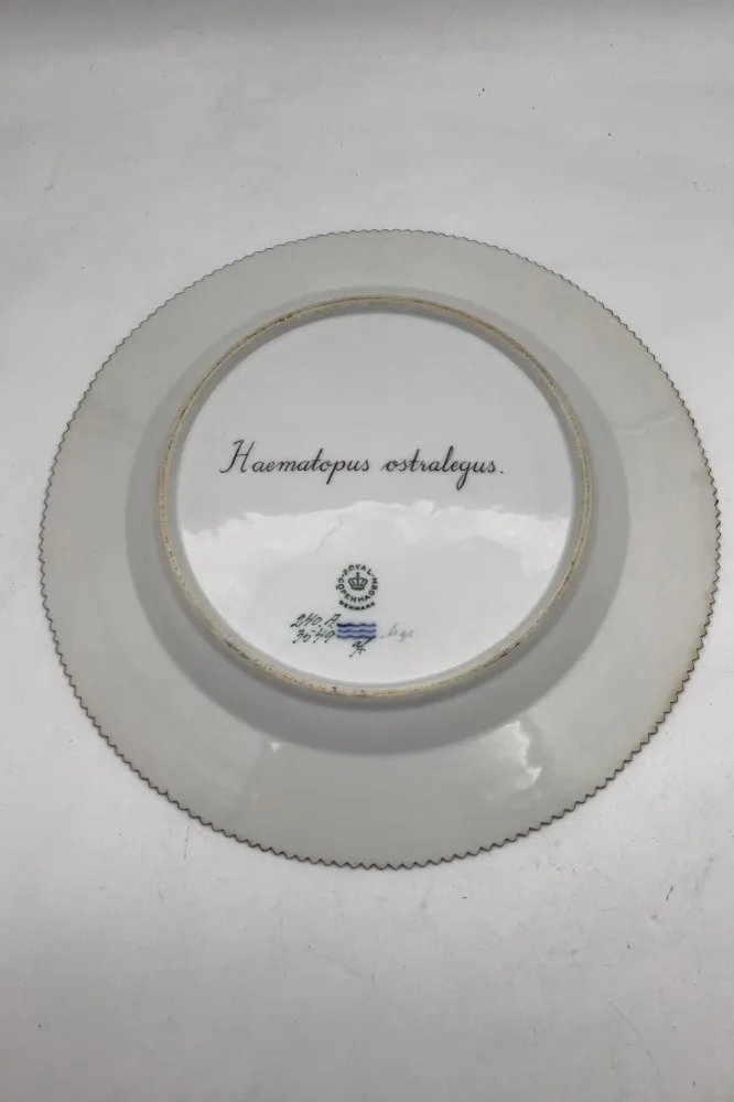 Royal Copenhagen Flora Danica Fuglestel Middagstallerken No 240/3549.