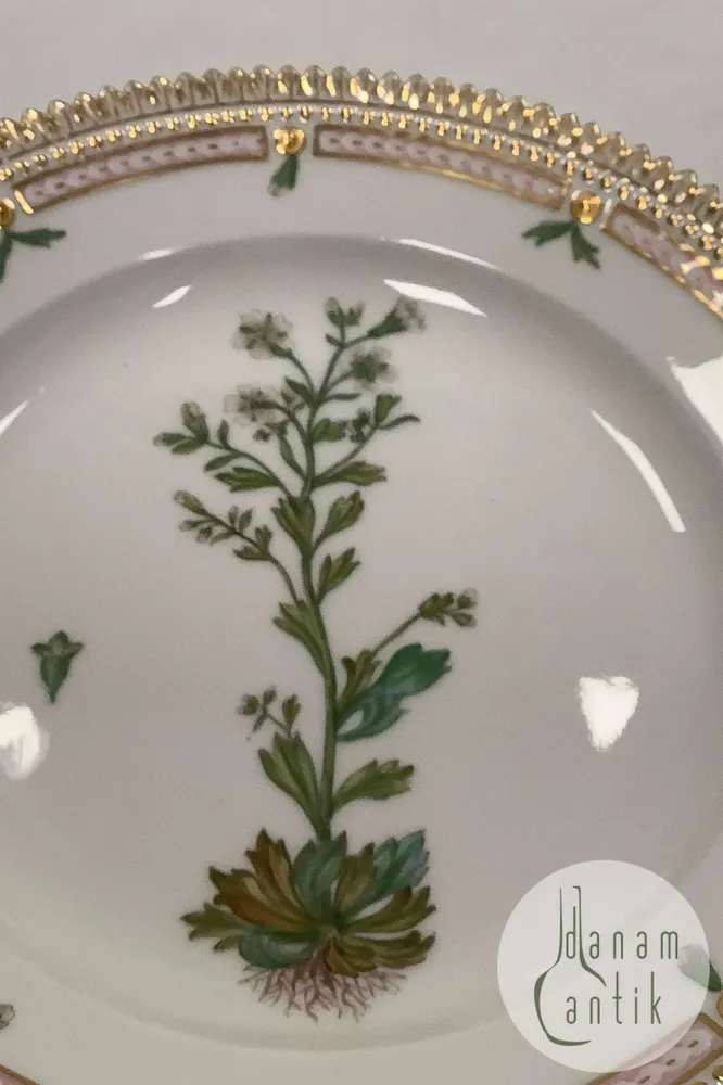 Royal Copenhagen Flora Danica Salat Tallerken No 20/3573