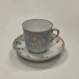Tidlig Royal Copenhagen Art Nouveau Kop og underkop No 9