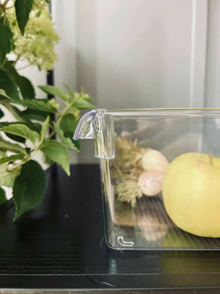 Transparent kasse til køleskab