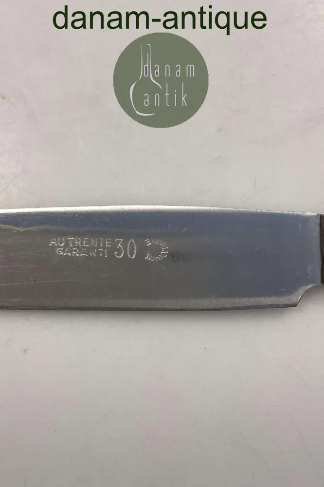 Au Trente 30 Stainless Spisekniv
