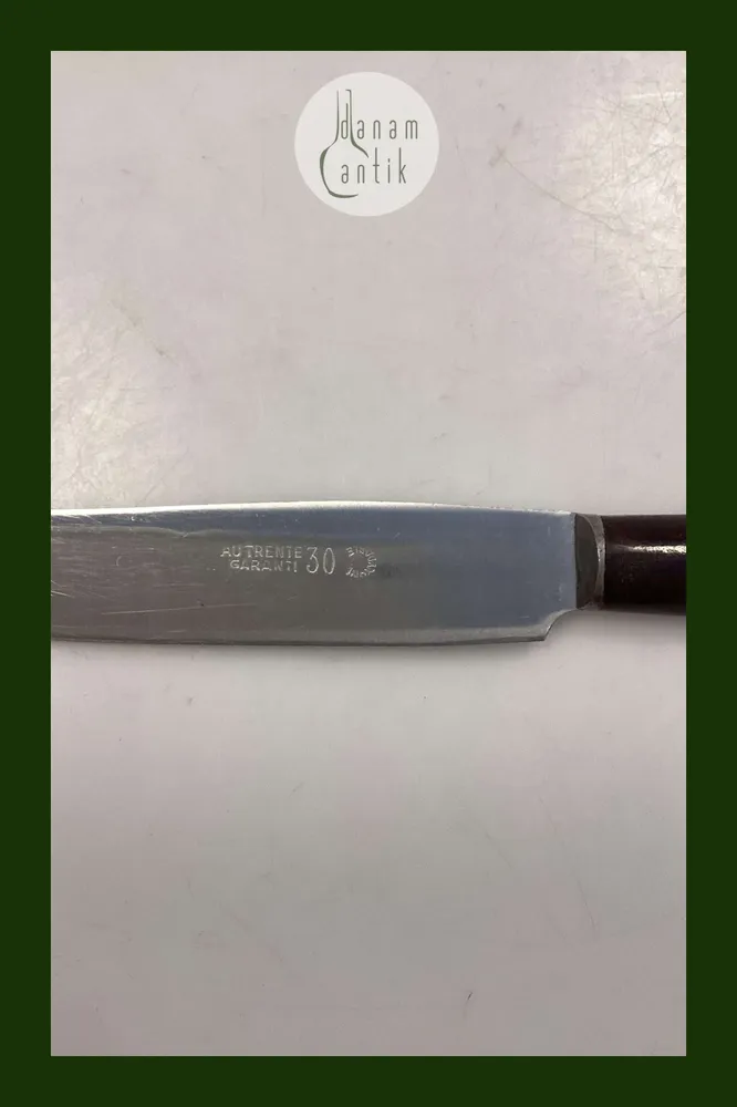 Au Trente 30 Stainless Spisekniv