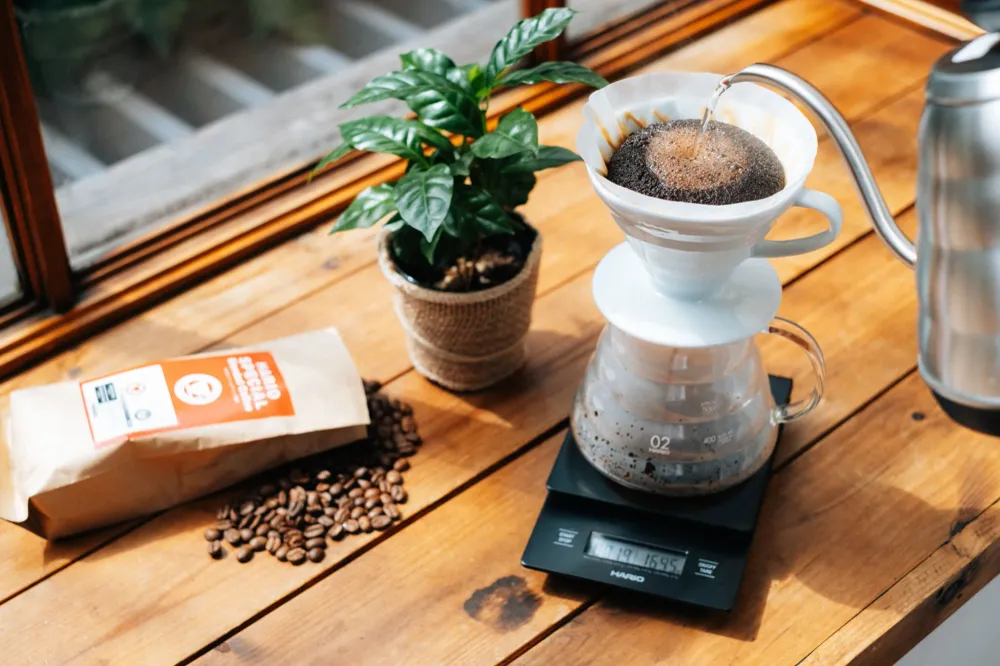 V60 Ceramic Colour 02 Dripper - Hvid