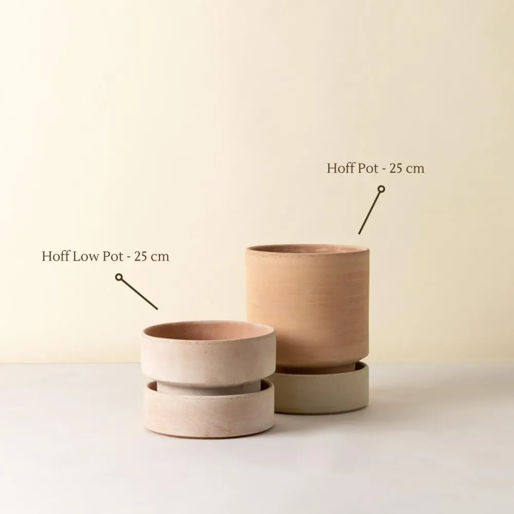 Hoff Low Pot - Urtepotte - Raw Rose
