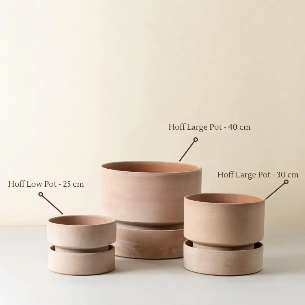 Hoff Low Pot - Urtepotte - Raw Rose