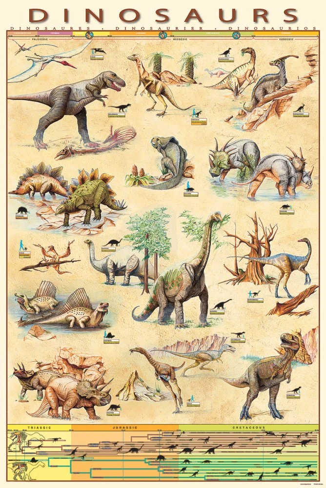Dinosaur - plakat - 60 x 90 cm.