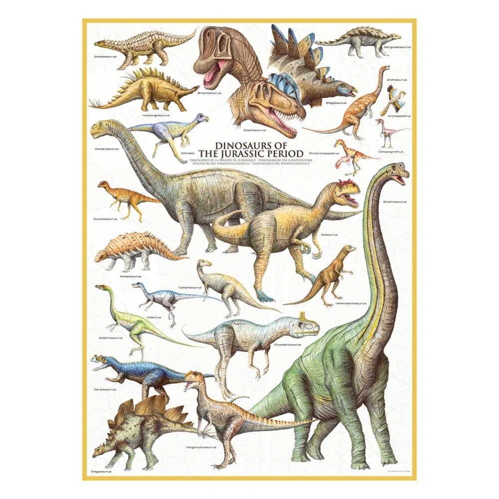 Plakat: Dinosaurs - Str. 62x92 cm.