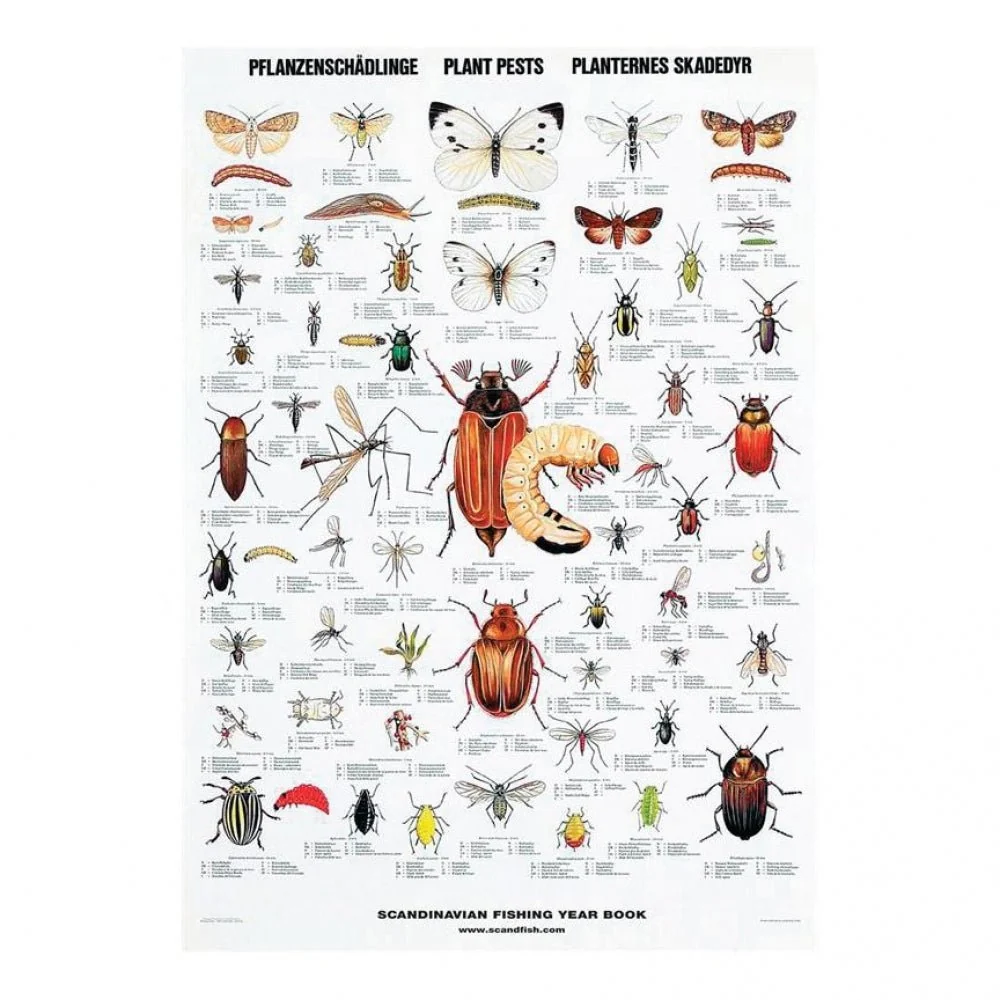 Plakat: Planternes Skadedyr - 70 x 100 cm.