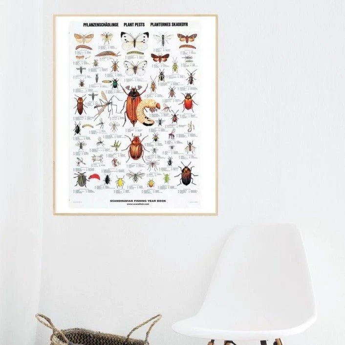 Plakat: Planternes Skadedyr - 70 x 100 cm.