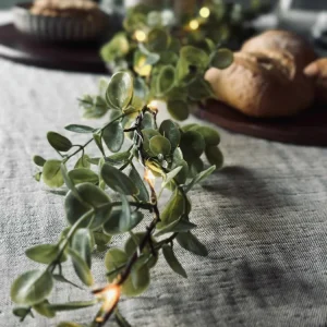 Lyskæde med grønne eucalyptus-blade