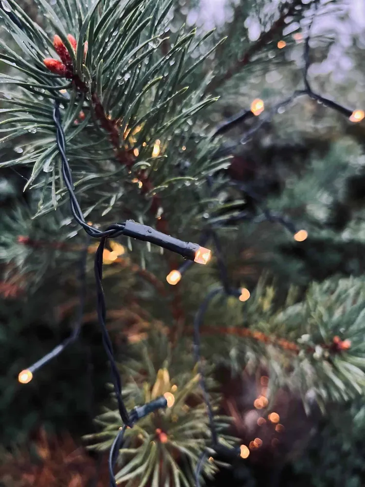 Lyskæde 40 LED med batteriboks – Godkendt Inde / Ude