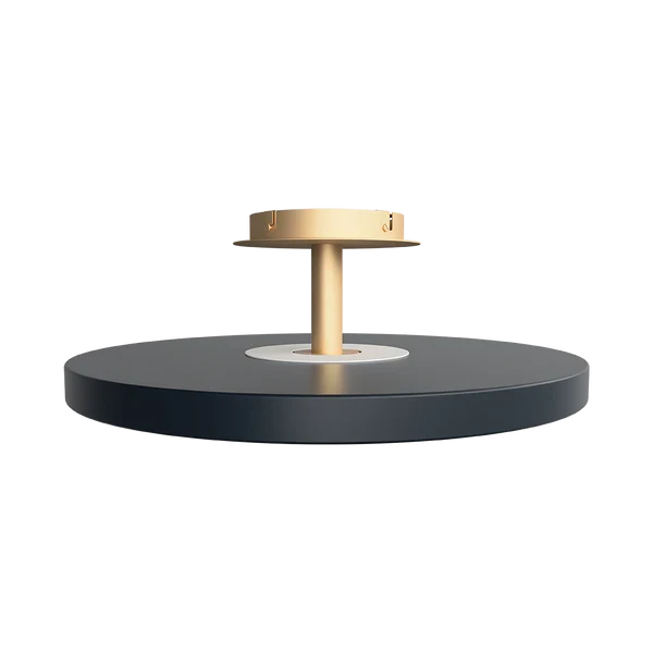 Umage Asteria Up Large Loftlampe - Antracit