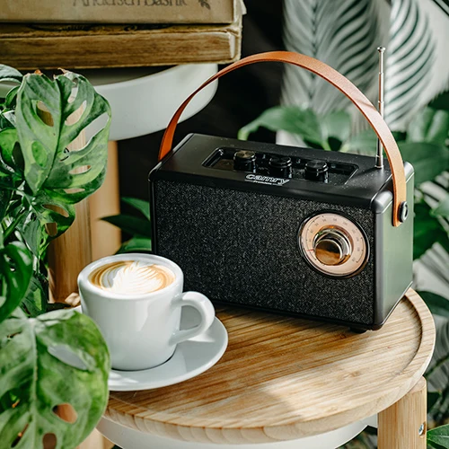 Sort FM Radio med Bluetooth