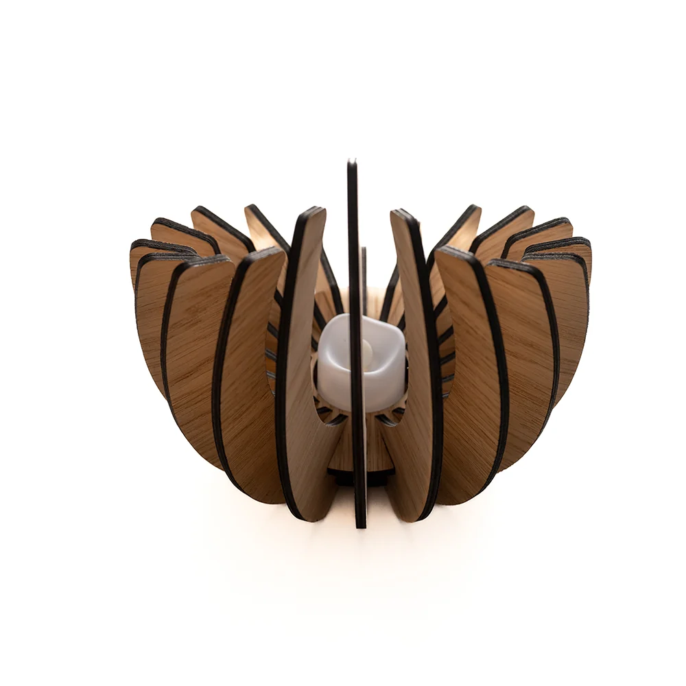 LEAF | LYSESTAGE | EGEFINER