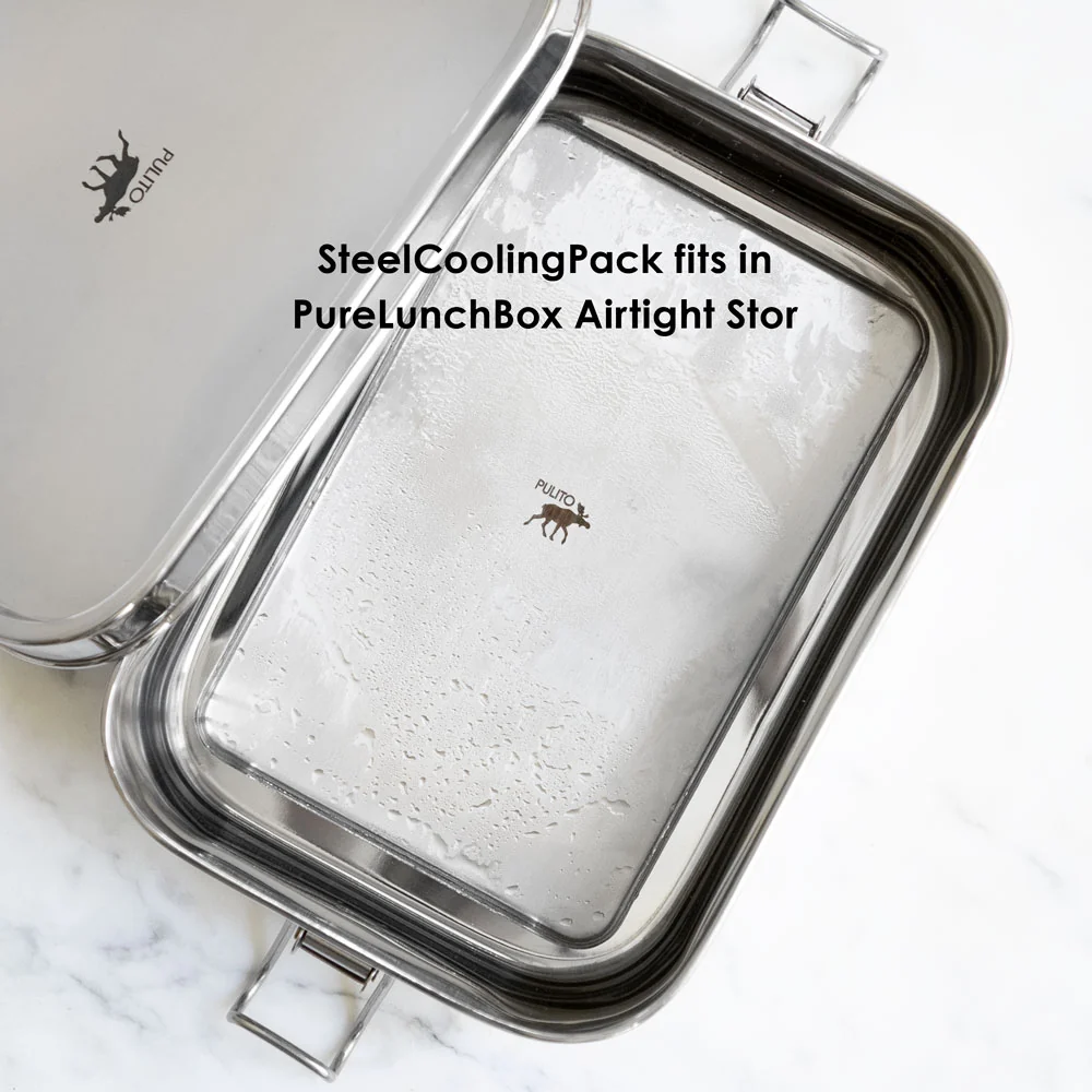 PureLunchBox Airtight Stor