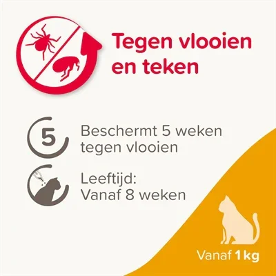 Beaphar Fiprotec Kat – 4 pipetter - Mod lopper og flåter - Fra 1 kg og 8 uger