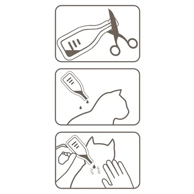 Beaphar Fiprotec Kat – 4 pipetter - Mod lopper og flåter - Fra 1 kg og 8 uger