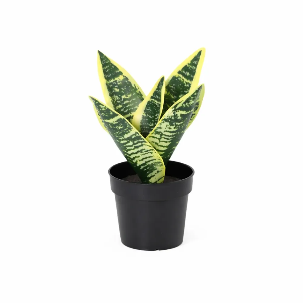 ARTIFICIAL Sansevieria laurentii - 21cm