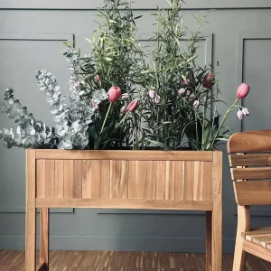 Plantekasse - akacia