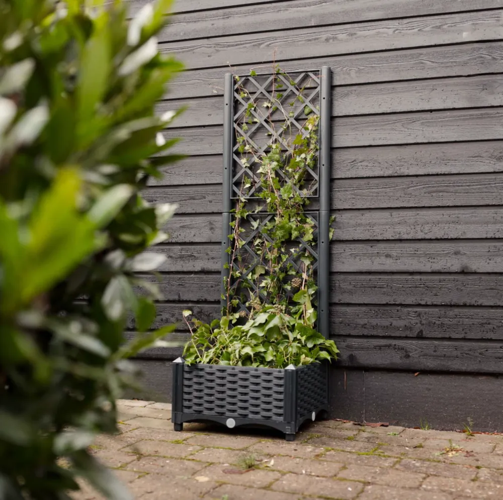 Plantekasse med espalier