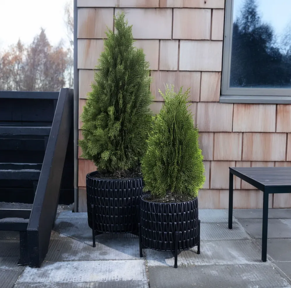 Plantekurve sæt af 2 kurve.