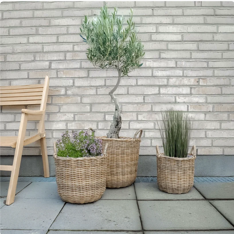Plantekurve i natur - 3 stk