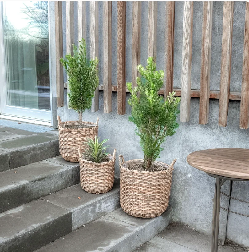 Plantekurve i natur - 3 stk