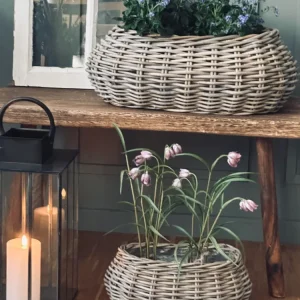 Plantekurve - Sæt m. 2 stk. Oval rattan